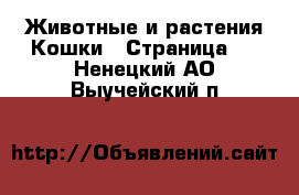 Животные и растения Кошки - Страница 3 . Ненецкий АО,Выучейский п.